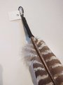 Elephant Painted Turkey Feather
