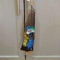 Blue Macaw Parrot Painted Turkey Feather