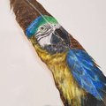 Blue Macaw Parrot Painted Turkey Feather