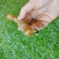Handmade Wooden Dagger Letter Opener