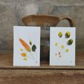 Mini Feather Collage Illustrations