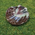 Aurora Borealis Painted Shell