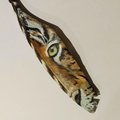 Tiger Eye Painted Turkey Feather