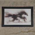 Running Horse Fumage Illustration