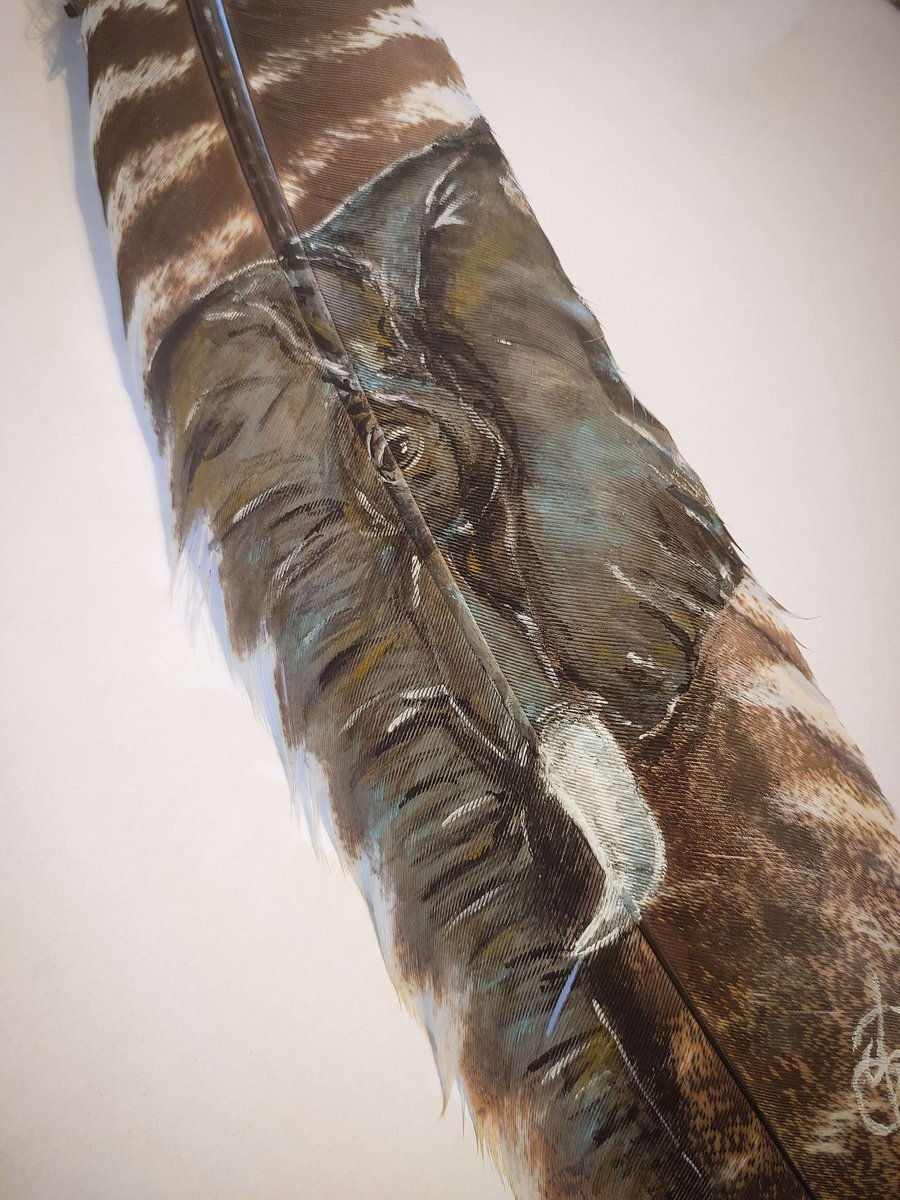 Elephant Painted Turkey Feather