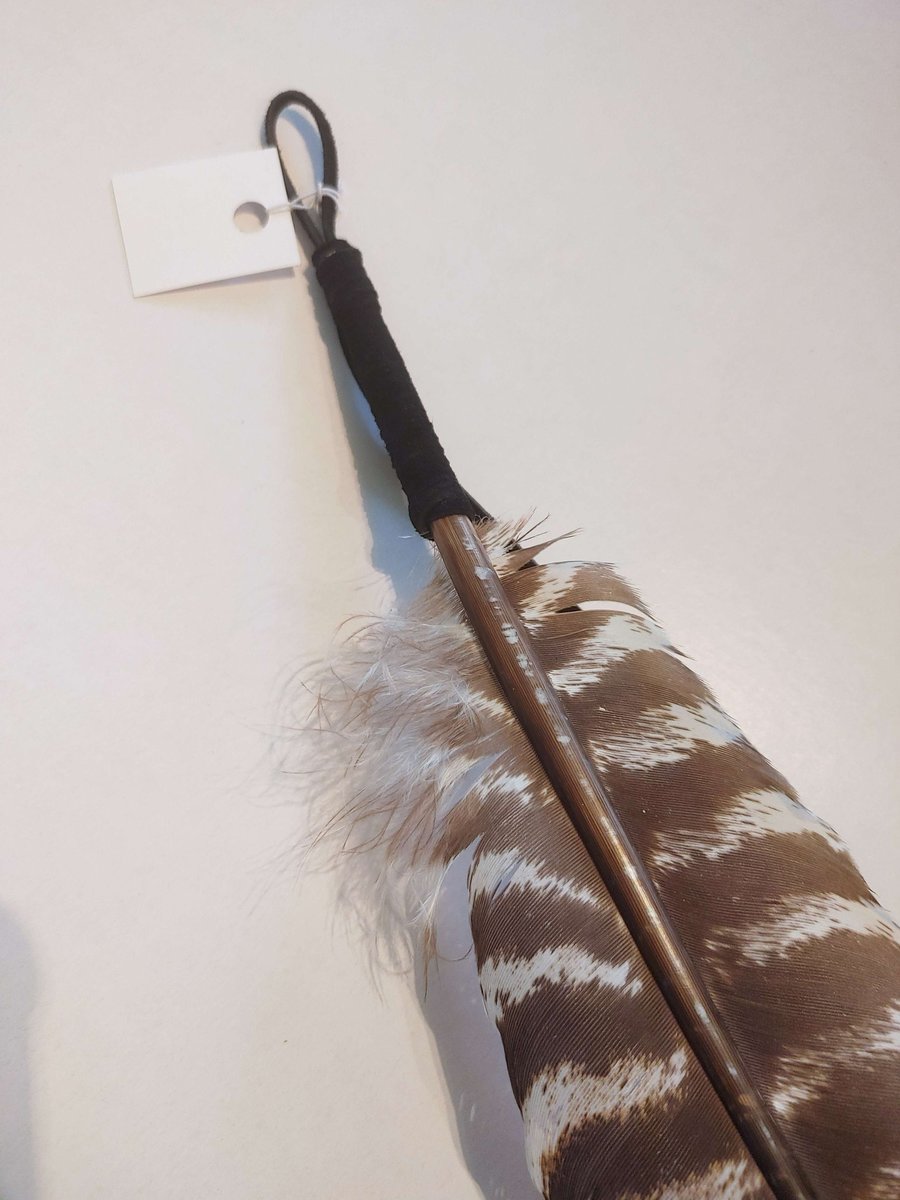 Elephant Painted Turkey Feather
