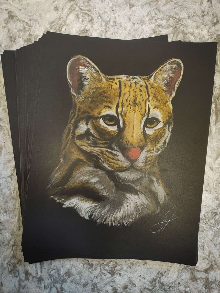 Charity Print: Ocelot Digital Artwork