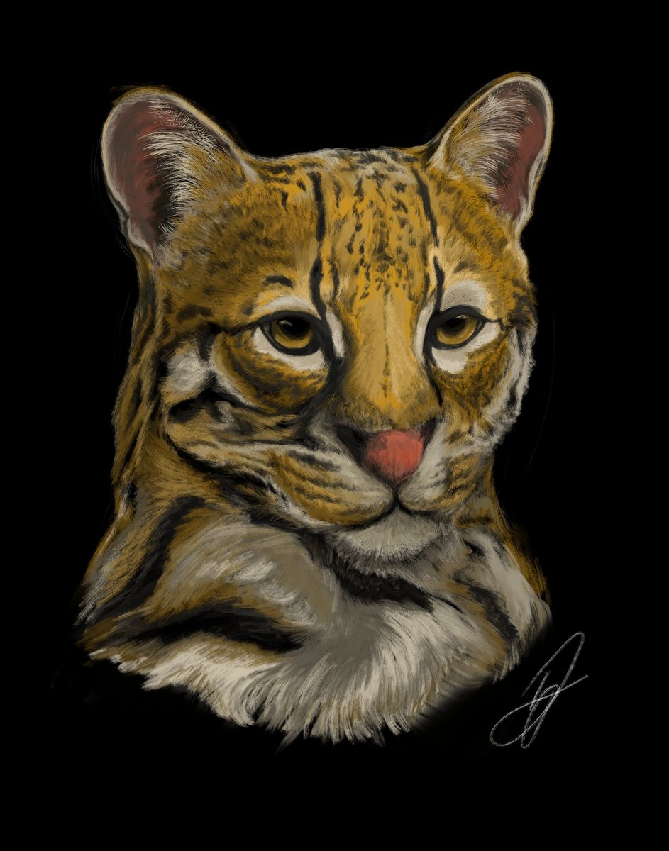 Charity Print: Ocelot Digital Artwork