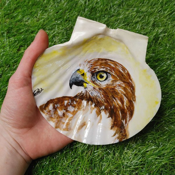 Hawk Portrait Painted Shell