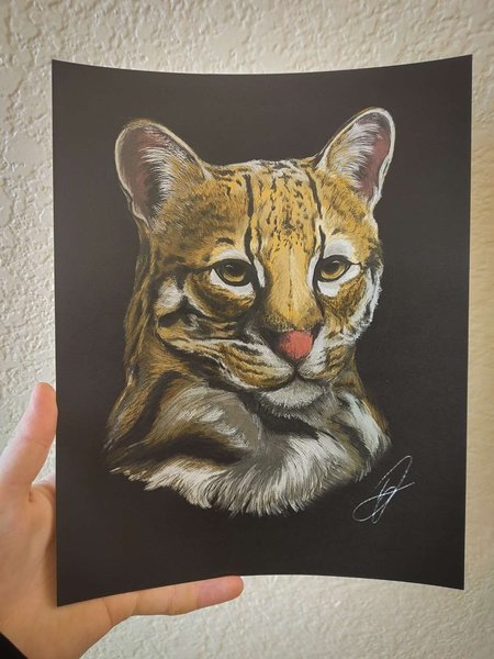 Charity Print: Ocelot Digital Artwork